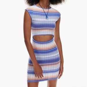 Aritzia knit dress